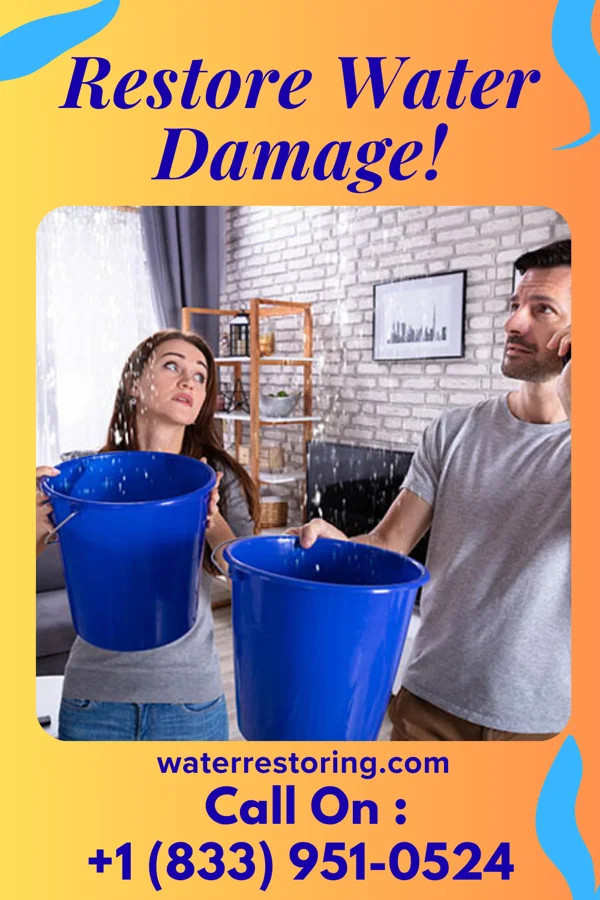 water restoration Elite Water Removal Professionals Myrtle Springs