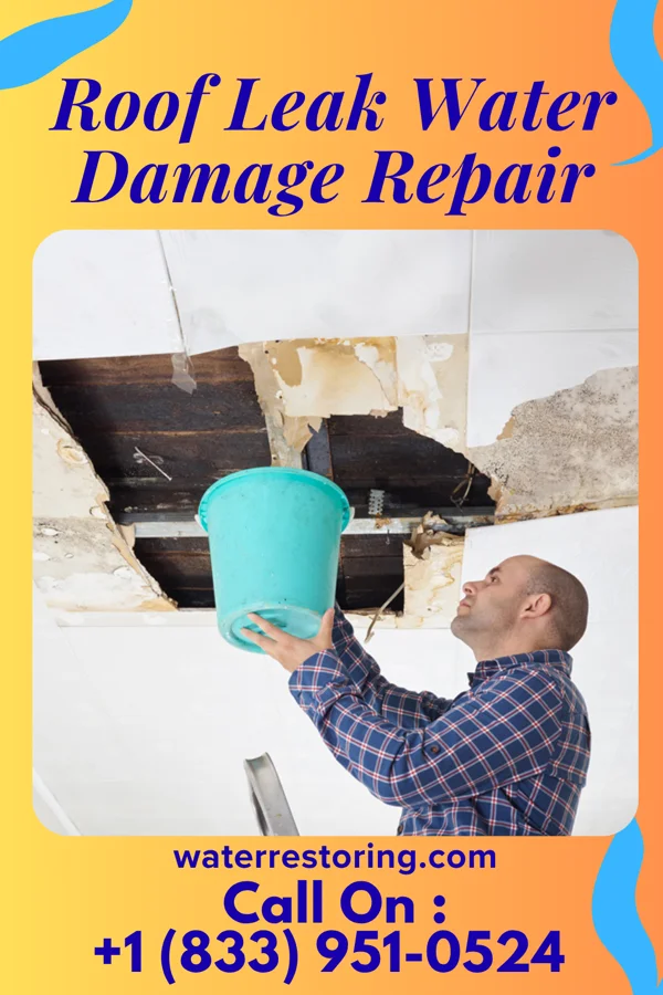 Roof Leak Water Damage Repair in Myrtle Springs, TX